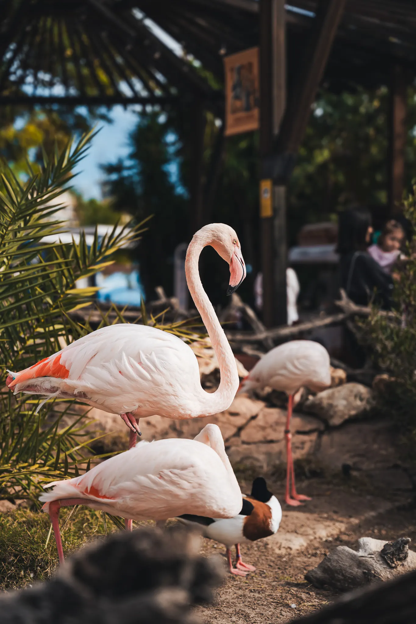 Best Life Experience - Internship — photography by Martin Kozojed
