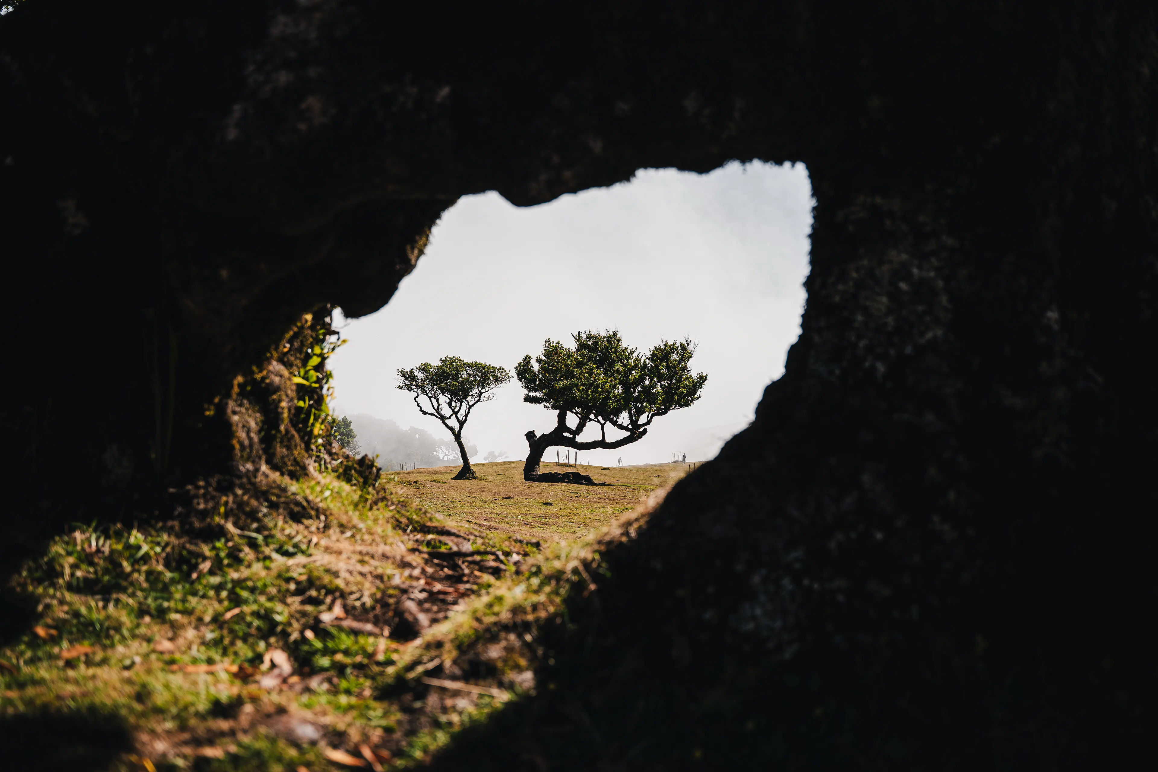 Shades of Madeira — photography by Martin Kozojed