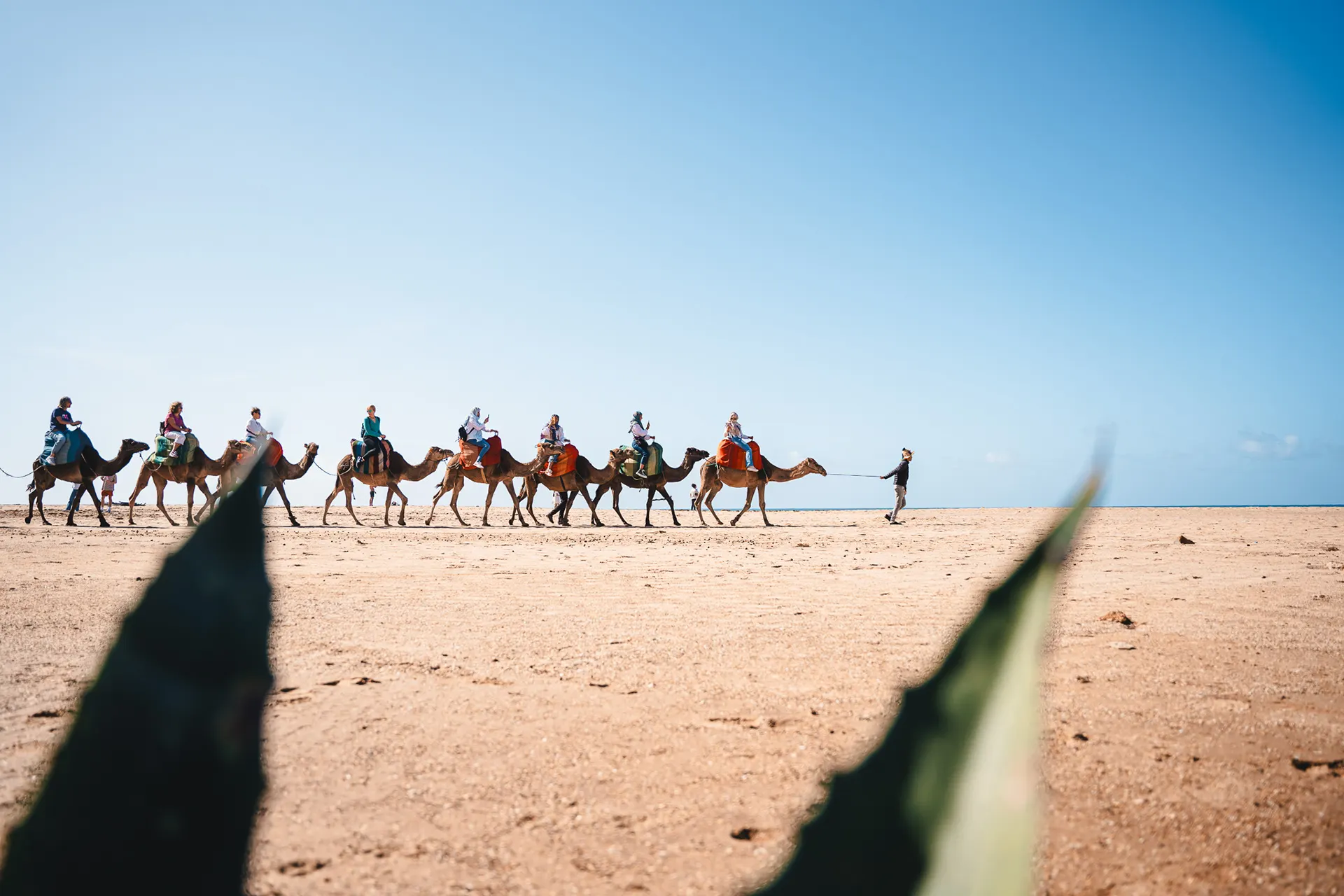 Best Life Experience - Internship — photography by Martin Kozojed