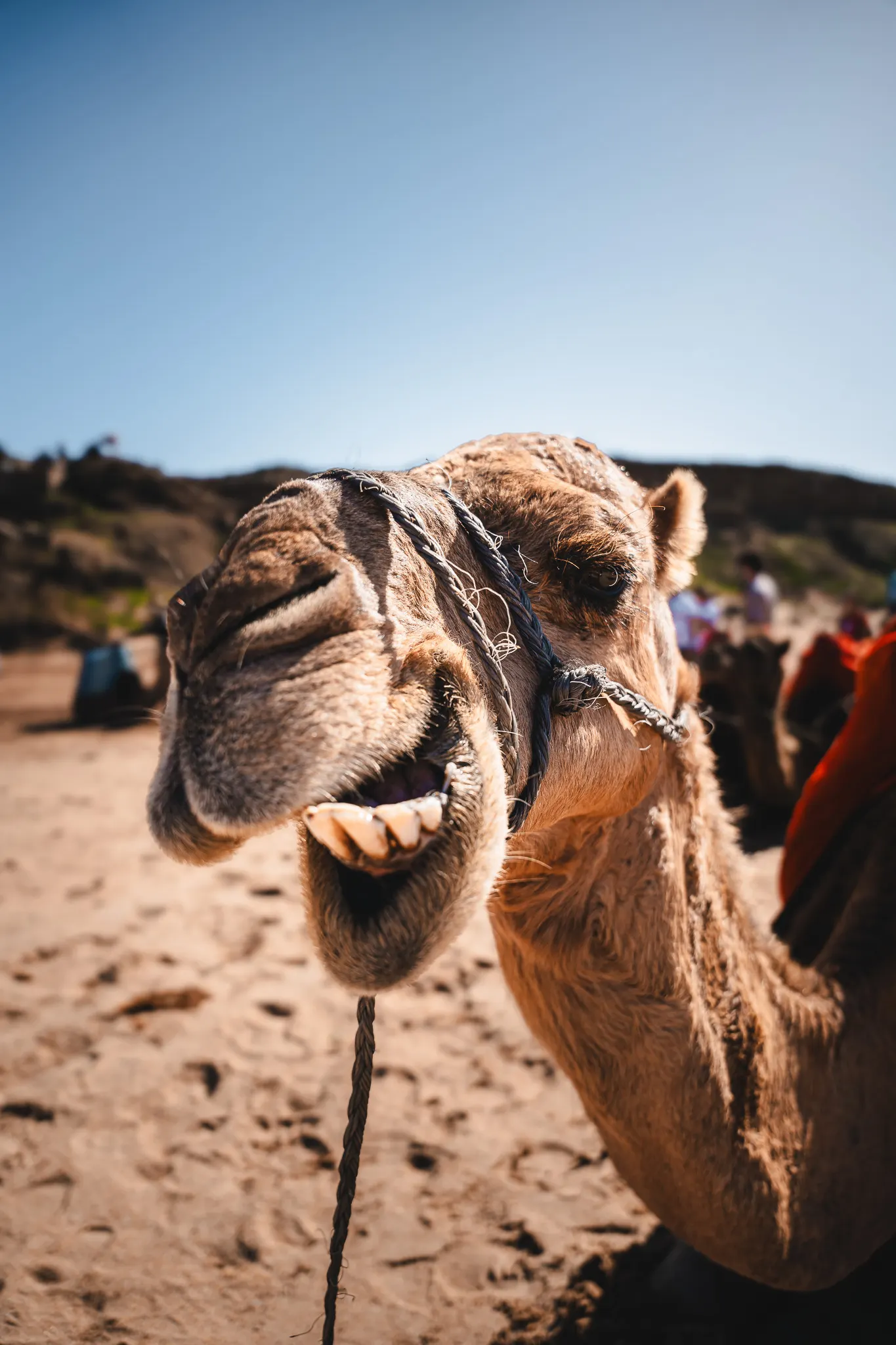 Best Life Experience - Internship — photography by Martin Kozojed