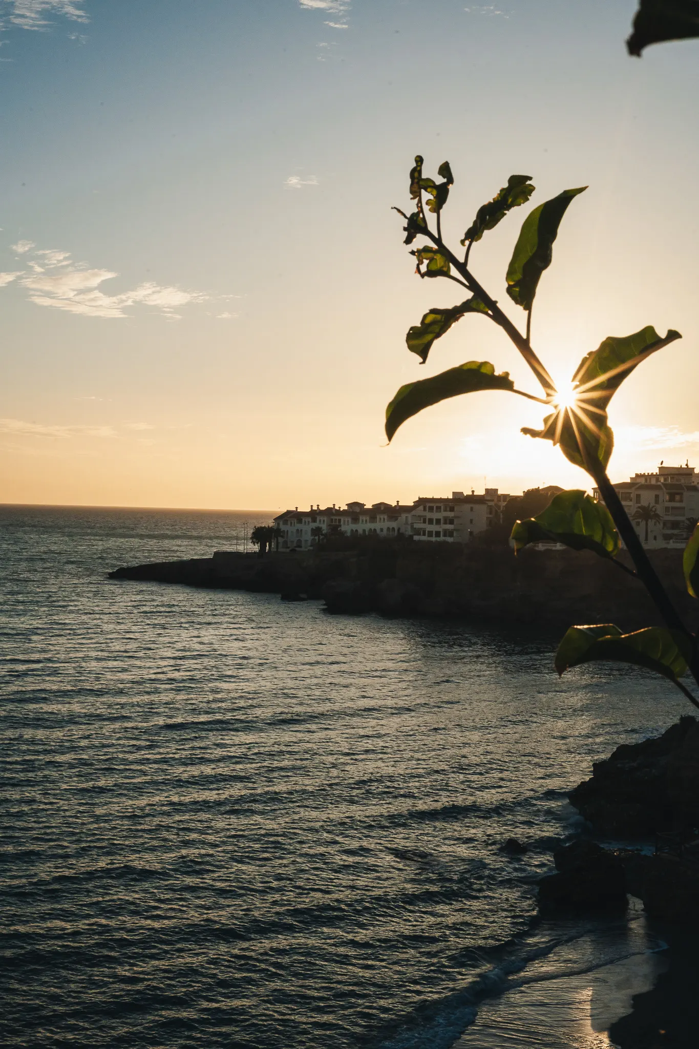 Best Life Experience - Internship — photography by Martin Kozojed