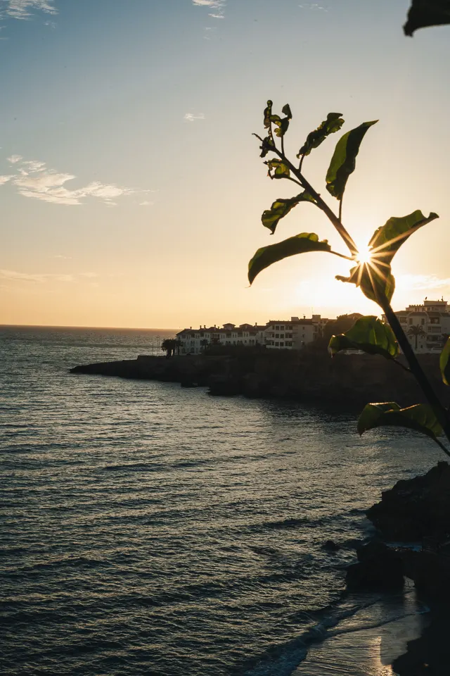 Best Life Experience - Internship — photography by Martin Kozojed