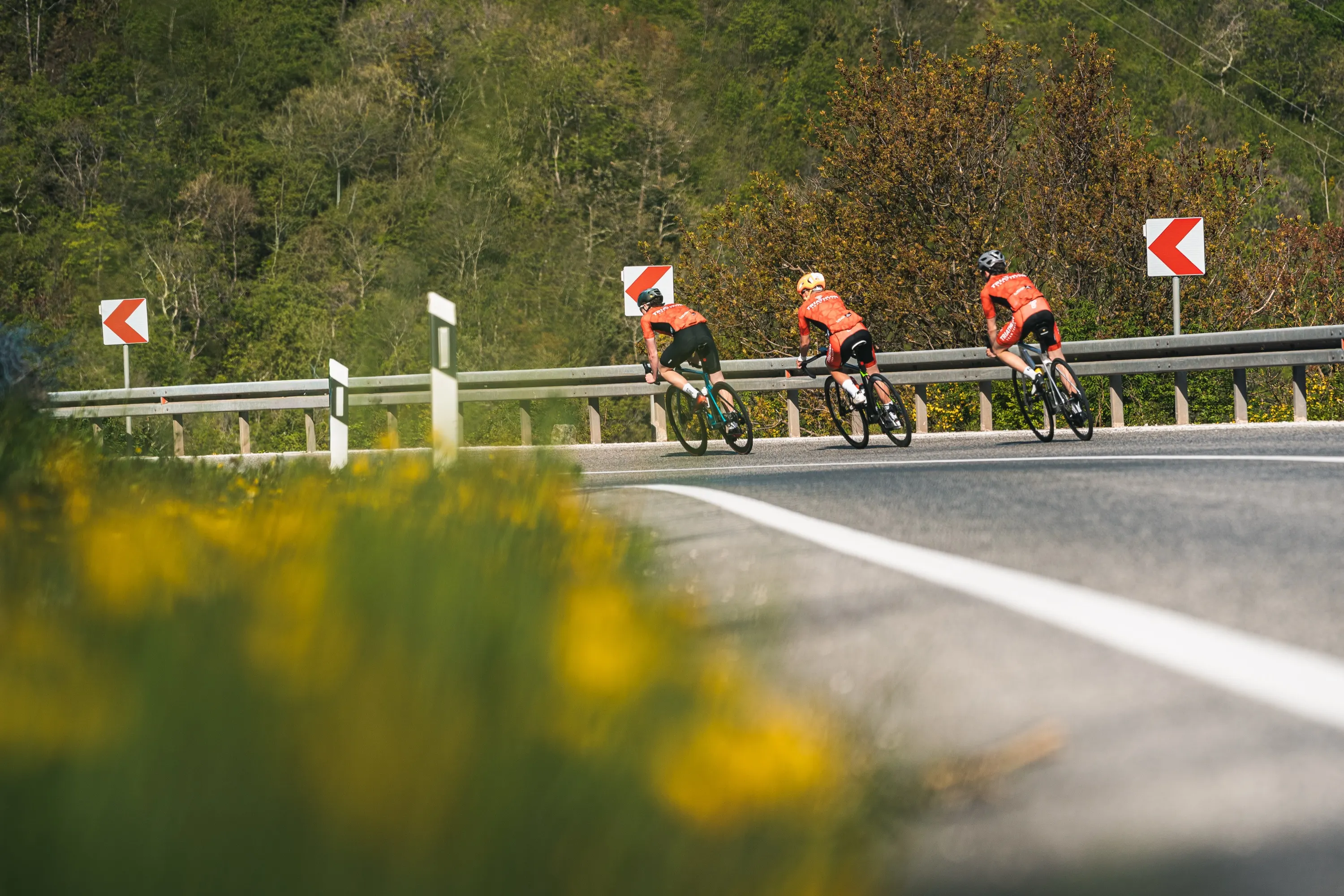 Istria Training Camp — photography by Martin Kozojed