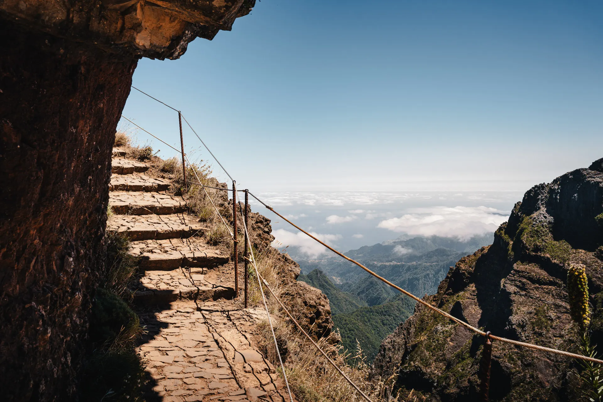 Shades of Madeira — photography by Martin Kozojed