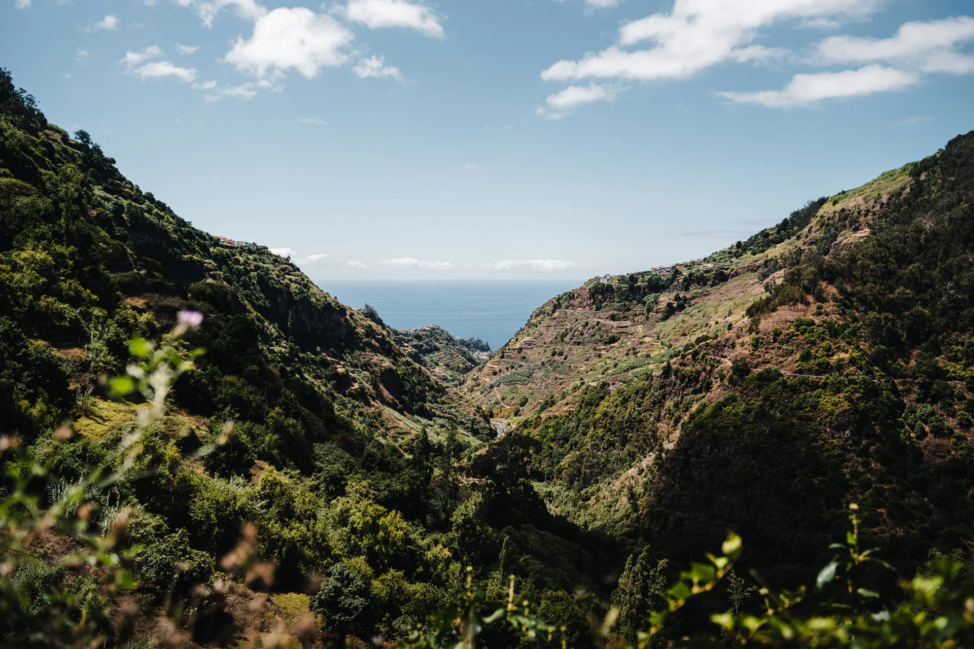 Shades of Madeira — photography by Martin Kozojed