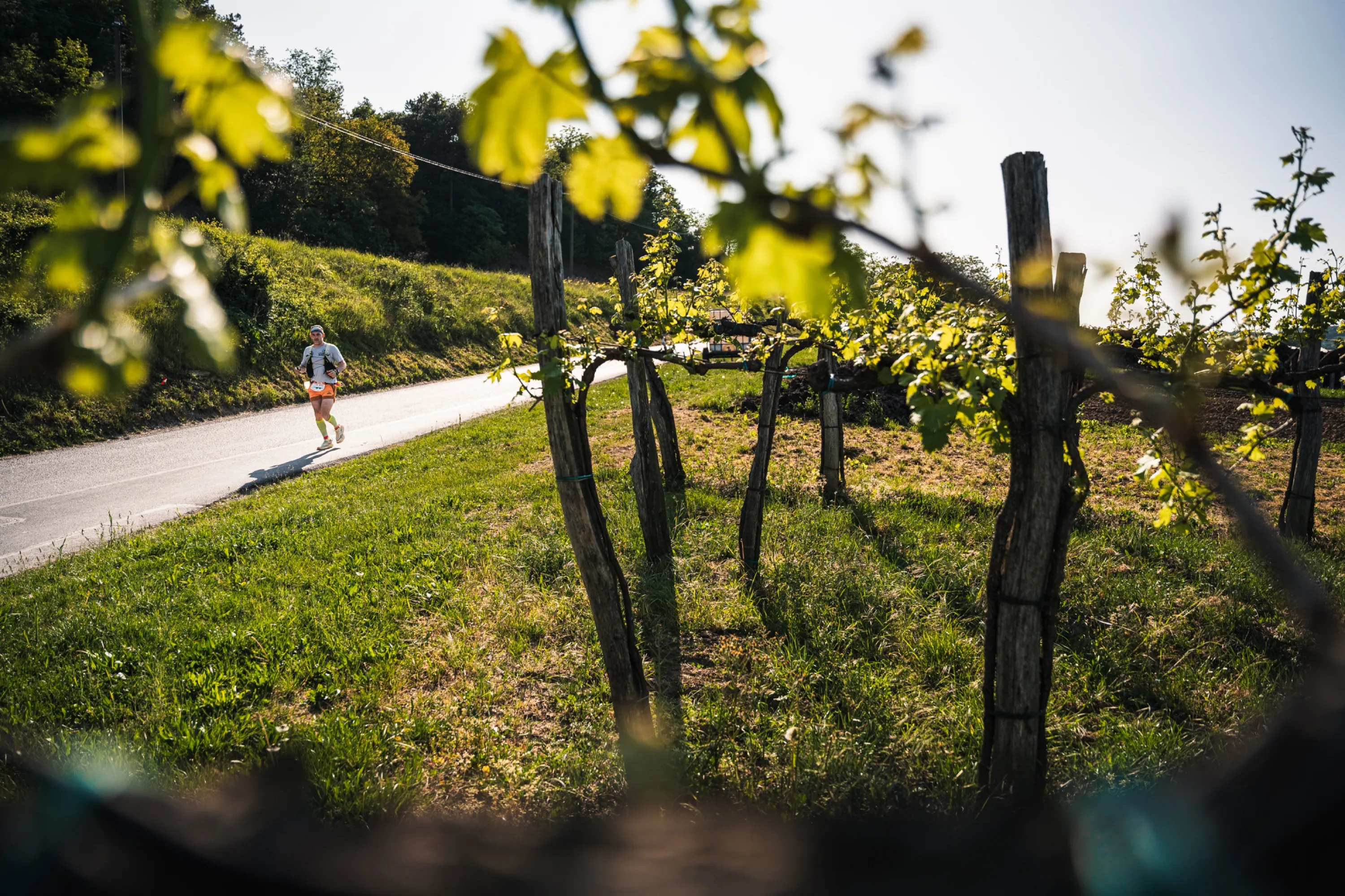 Ultra Trail Vipava Valley — photography by Martin Kozojed