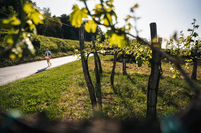 Ultra Trail Vipava Valley — photography by Martin Kozojed