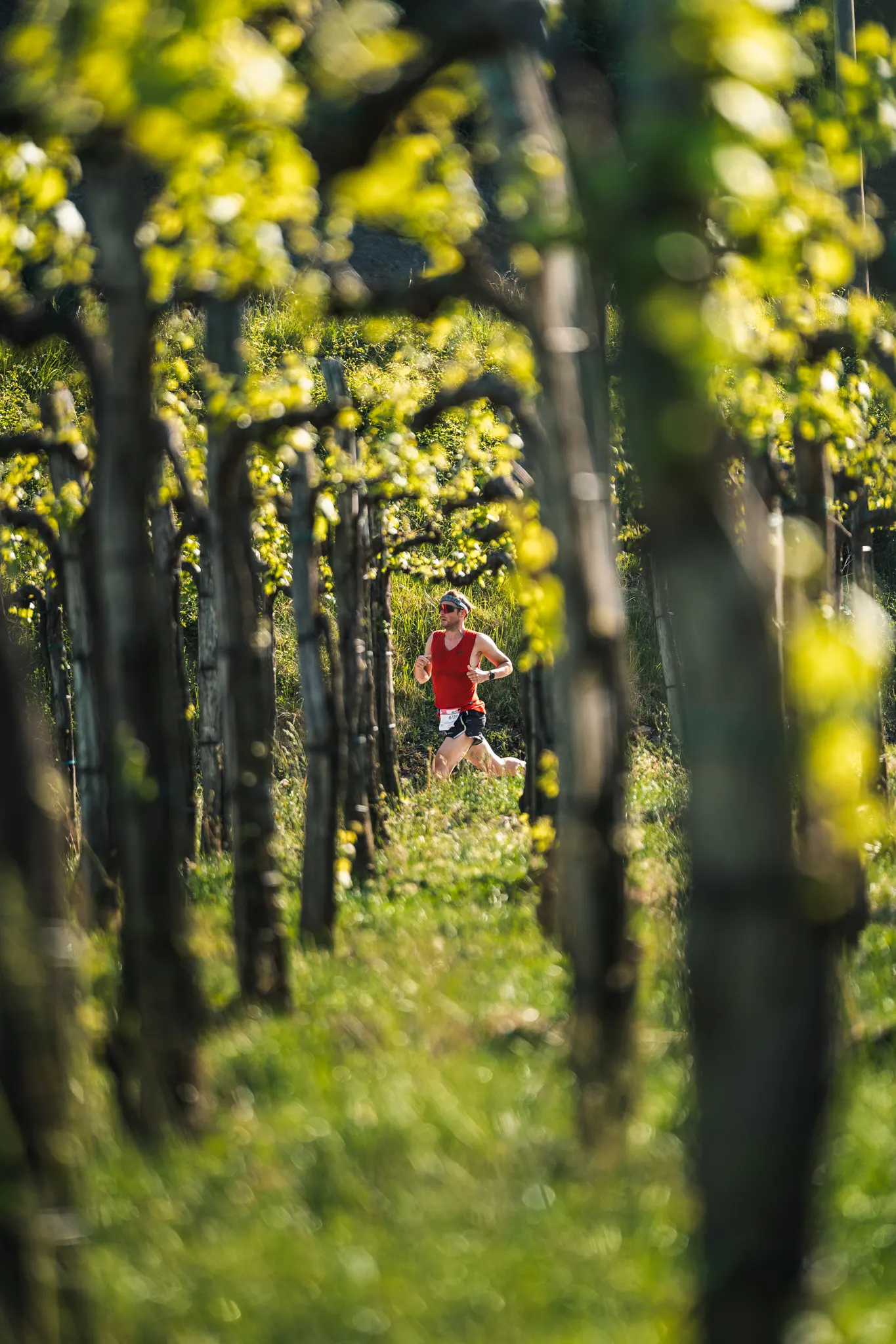 Ultra Trail Vipava Valley — photography by Martin Kozojed