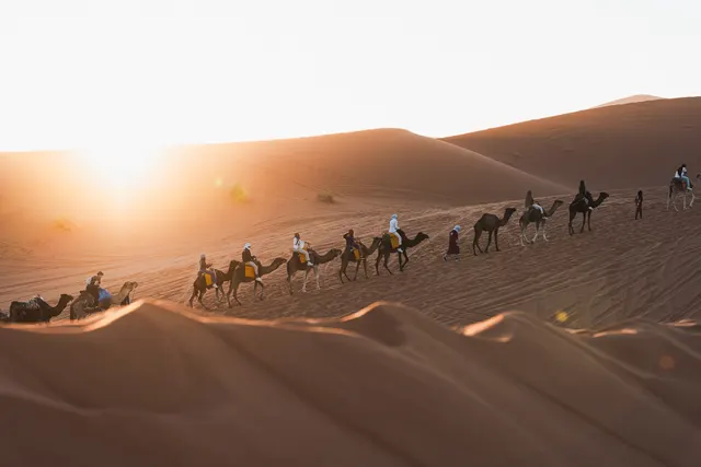 Best Life Experience - Internship — photography by Martin Kozojed