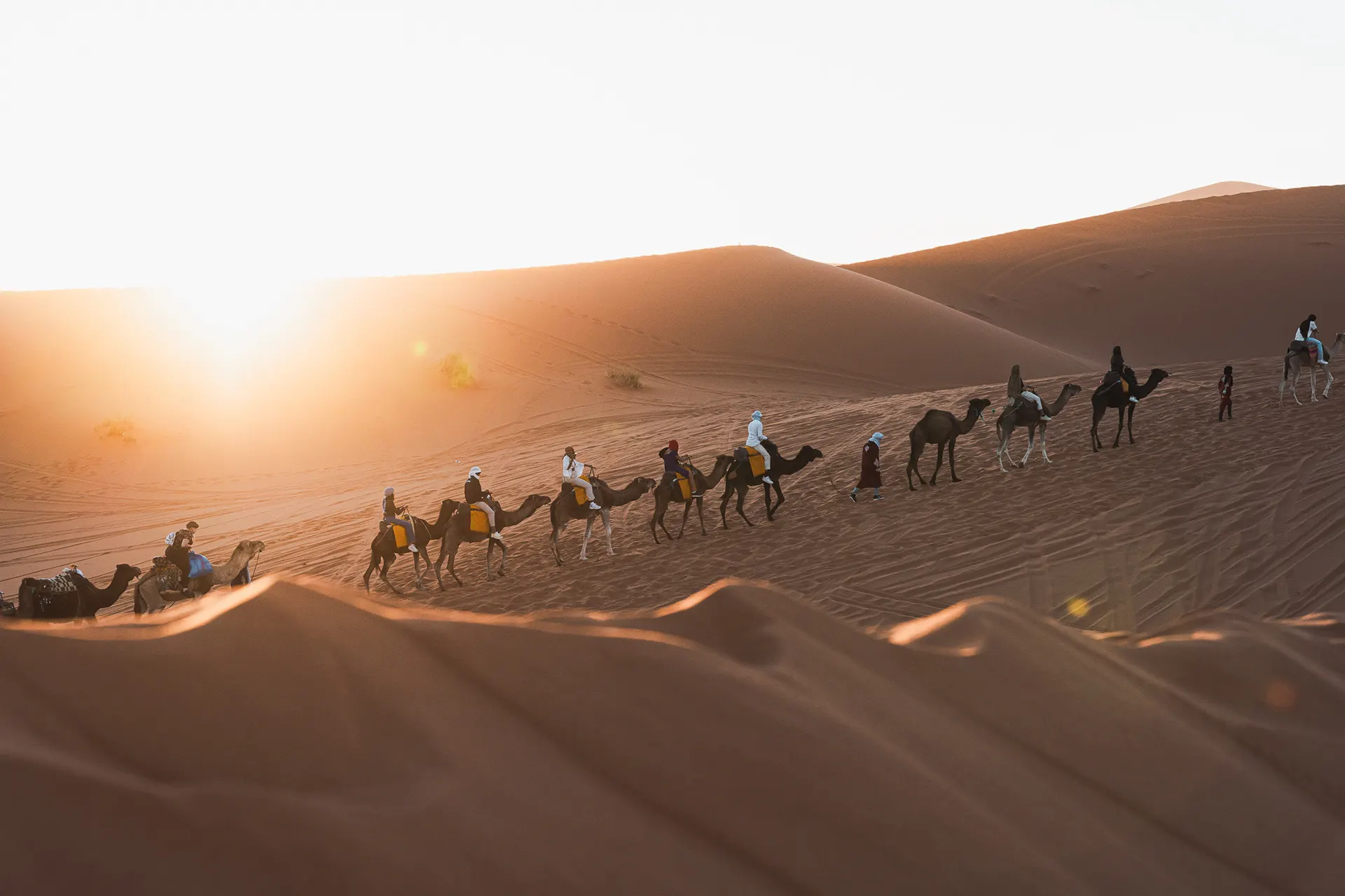 Best Life Experience - Internship — photography by Martin Kozojed
