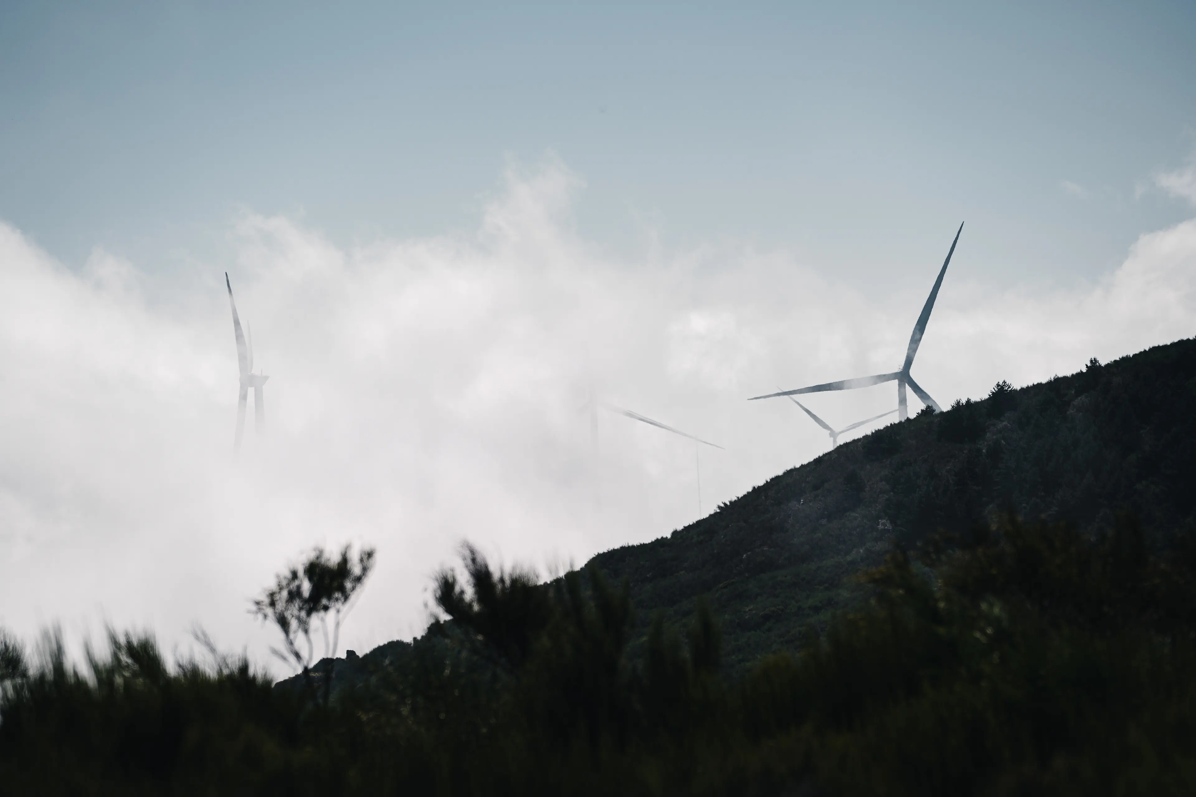 Shades of Madeira — photography by Martin Kozojed