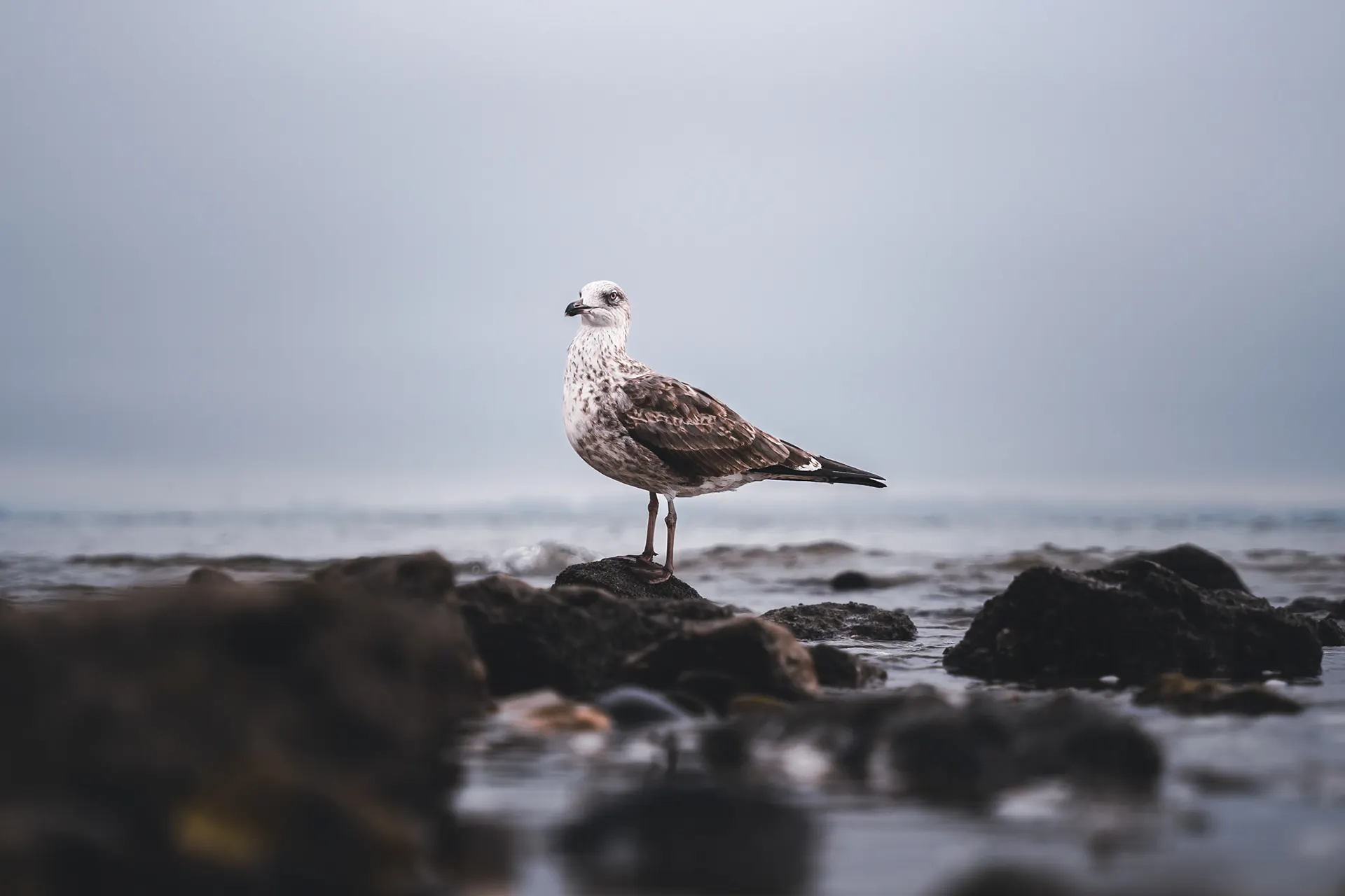 Best Life Experience - Internship — photography by Martin Kozojed