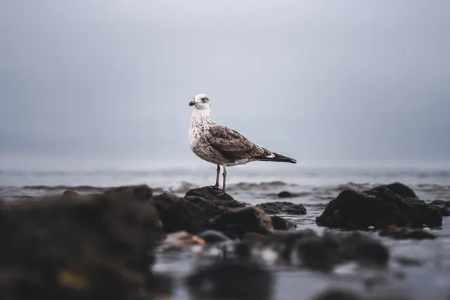 Best Life Experience - Internship — photography by Martin Kozojed